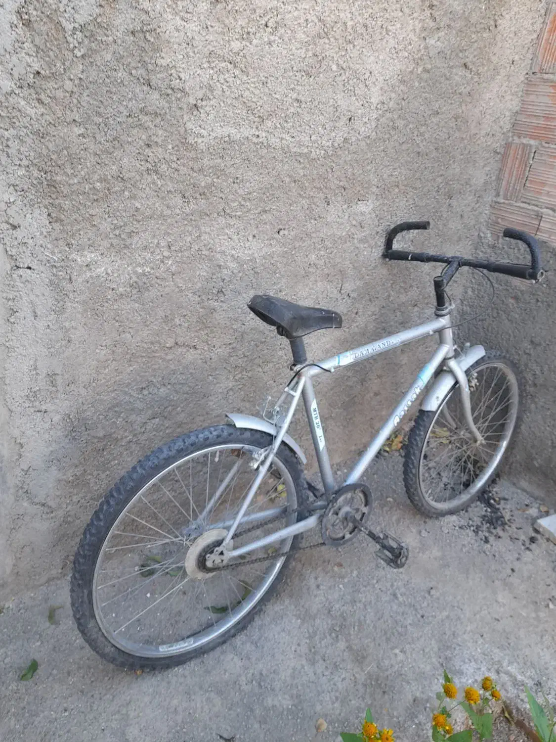 دوچرخه ۲۶ دماوند|دوچرخه، اسکیت، اسکوتر|اسفراین, |دیوار