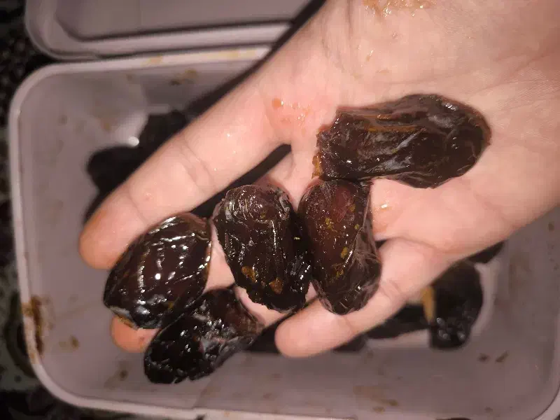 خرمای لوکس|خوردنی و آشامیدنی|تهران, پارک شهر|دیوار