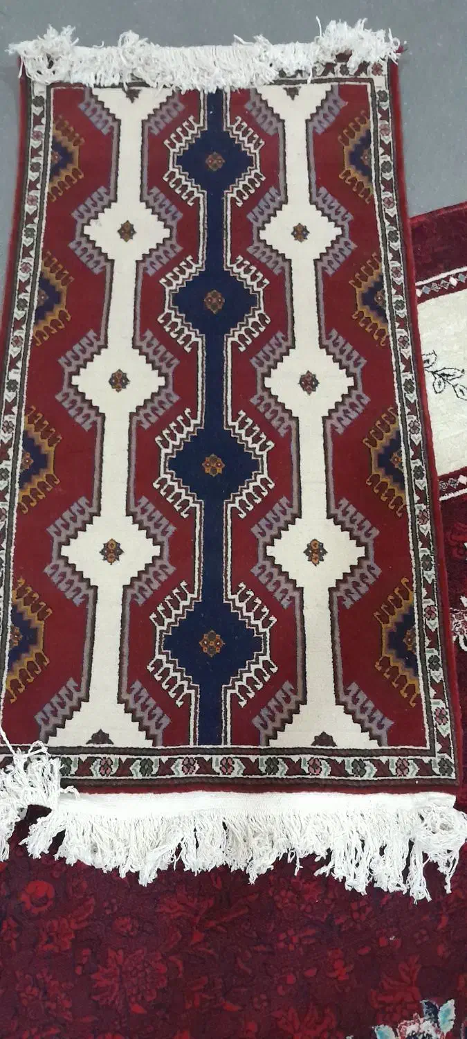 فرش دست بافت به قیمت ۶۰۰۰۰۰۰۰۰۰|فرش|شیراز, آبیاری|دیوار