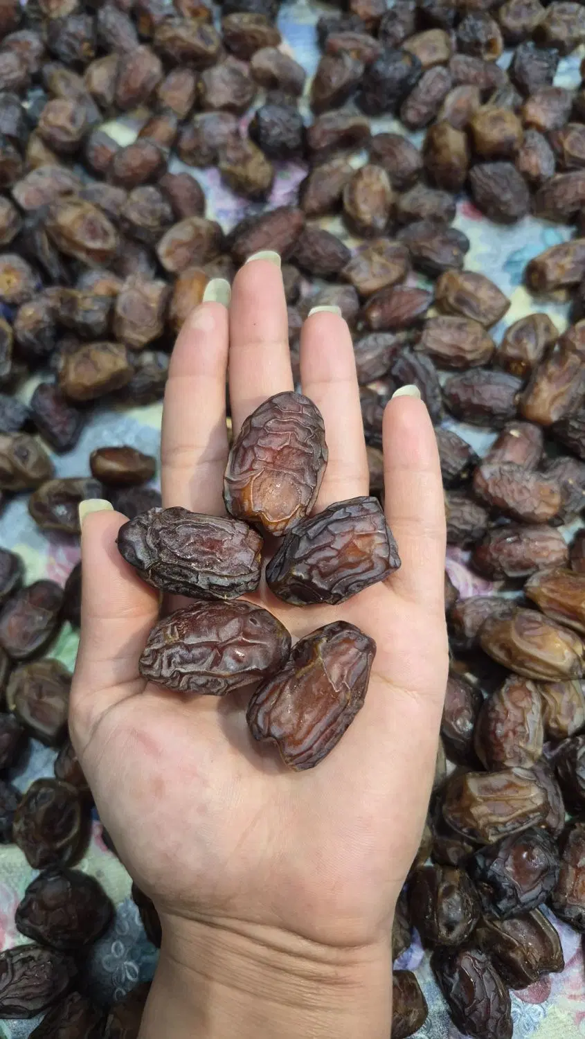فروش خرما بریمی|خوردنی و آشامیدنی|تهران, حصار بوعلی|دیوار
