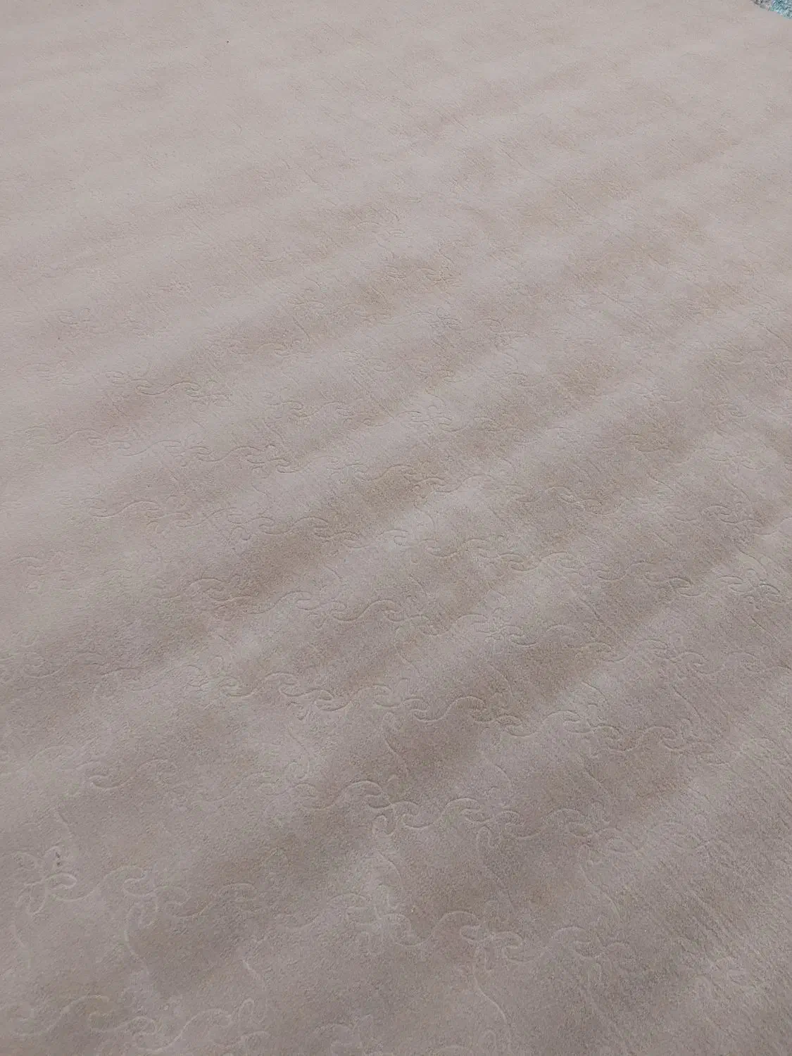 موکت|موکت|ایلام, |دیوار