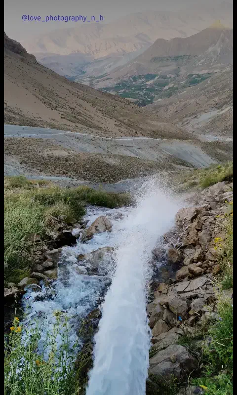 کبوتر کود کفتر|خدمات باغبانی و درختکاری|بهبهان, |دیوار