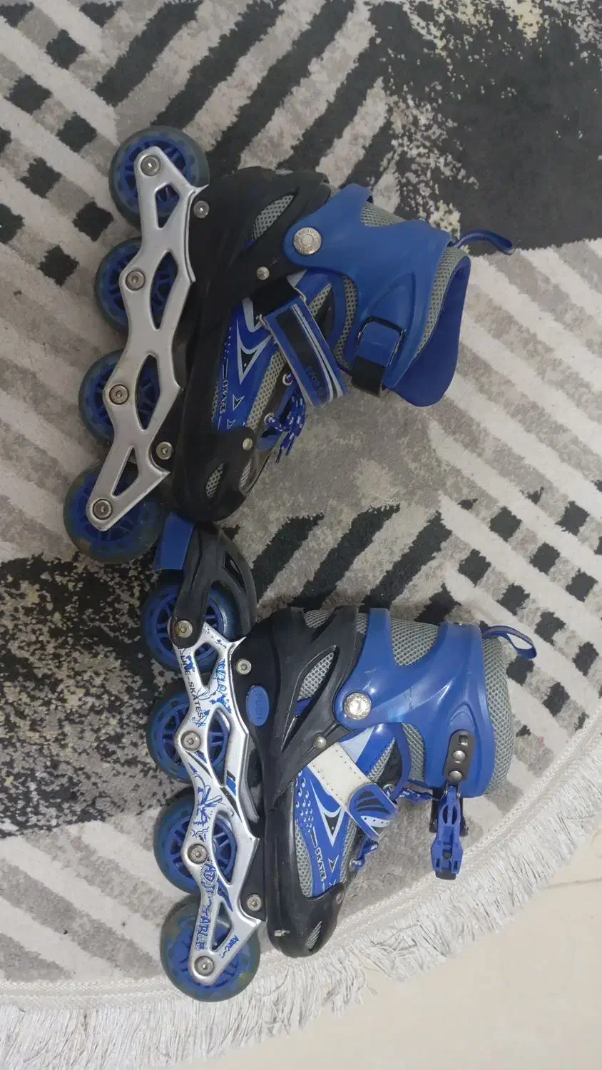 اسکیت|دوچرخه، اسکیت، اسکوتر|پرند, فاز ۶|دیوار