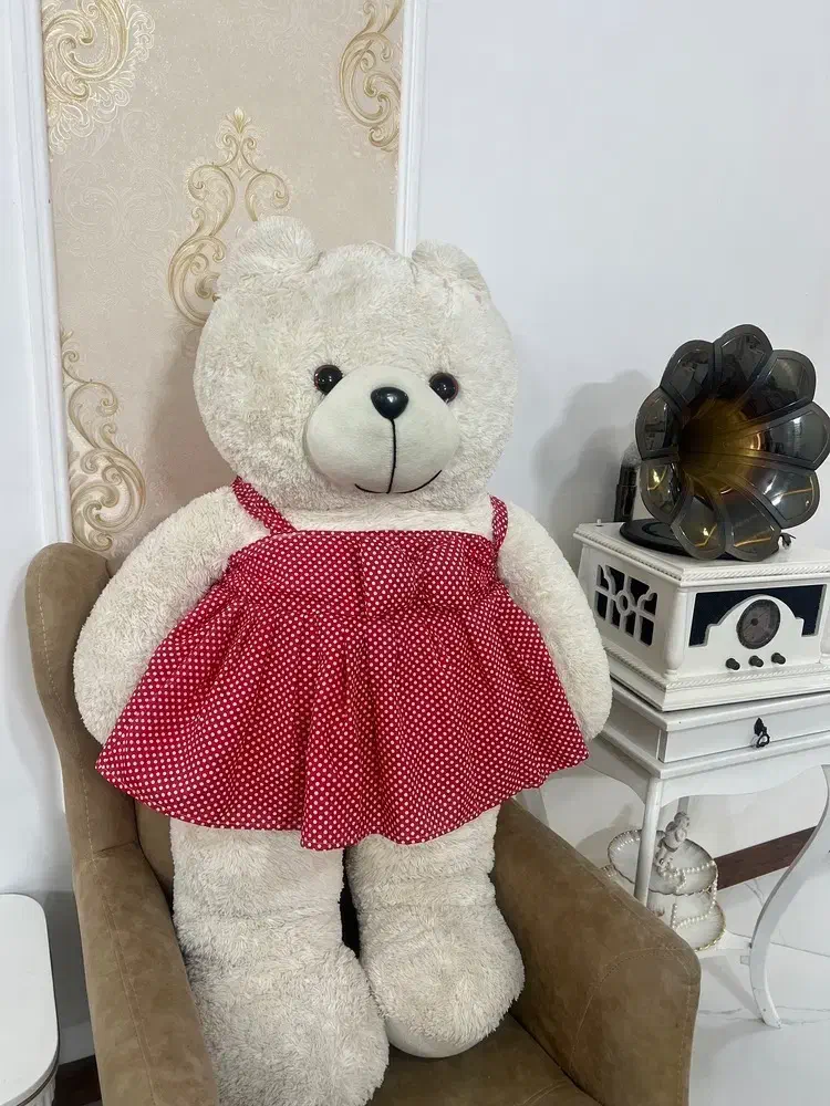 عروسک خرس|اسباب‌‌بازی|چناران, |دیوار