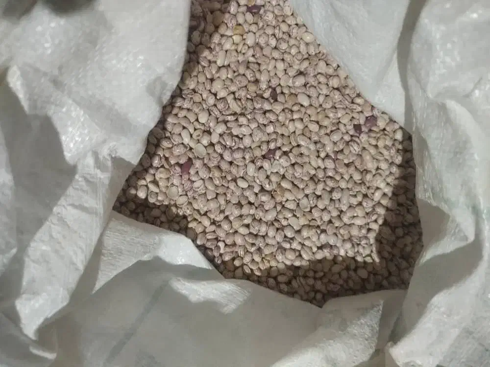 لوبیاچیتی درجه۱عالی|خوردنی و آشامیدنی|شیراز, عادل آباد|دیوار