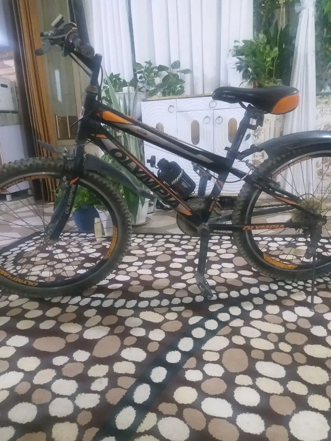 دوچرخه بیست چهار|دوچرخه، اسکیت، اسکوتر|برازجان, |دیوار