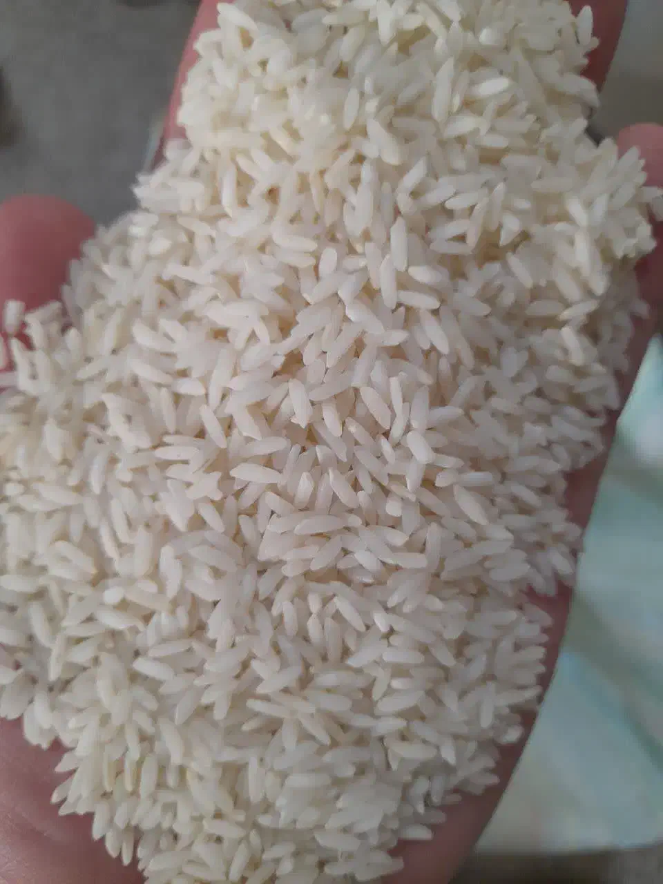 برنج طارم هاشمی فجر سوزنی|خوردنی و آشامیدنی|سبزوار, هویزه|دیوار