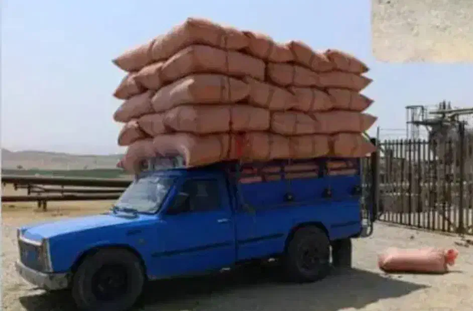 کاه|لوازم جانبی حیوانات|دهدشت, |دیوار