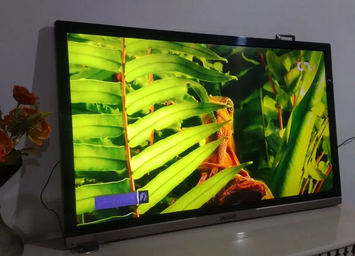 ۴۳ اینچ اسنوا|تلویزیون و پروژکتور|کوهدشت, |دیوار