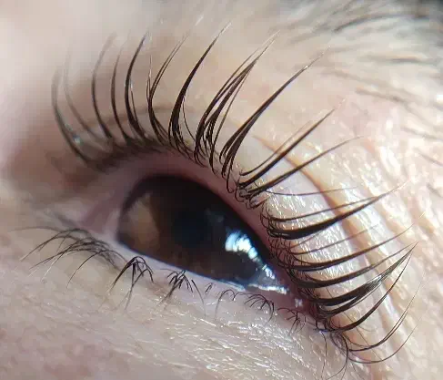 اکستنشن مژه ،لیفت مژه و ابرو|خدمات آرایشگری و زیبایی|نور, |دیوار