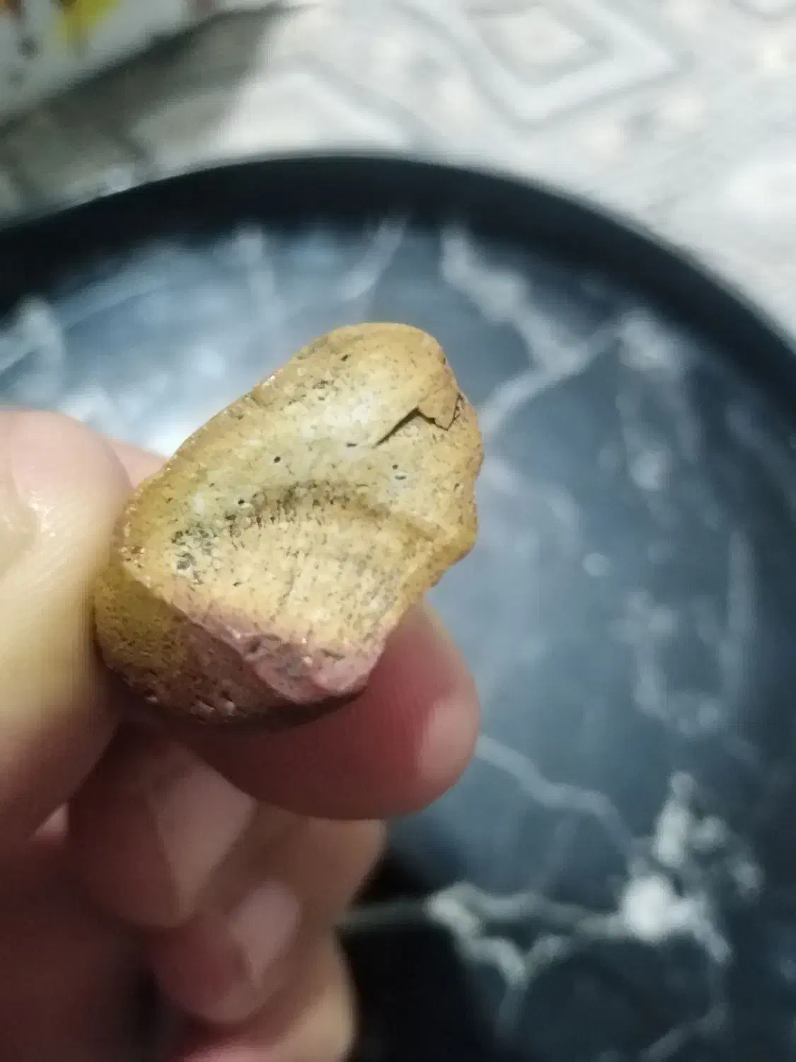 سنگ|کلکسیون اشیاء عتیقه|کرج, چمران|دیوار