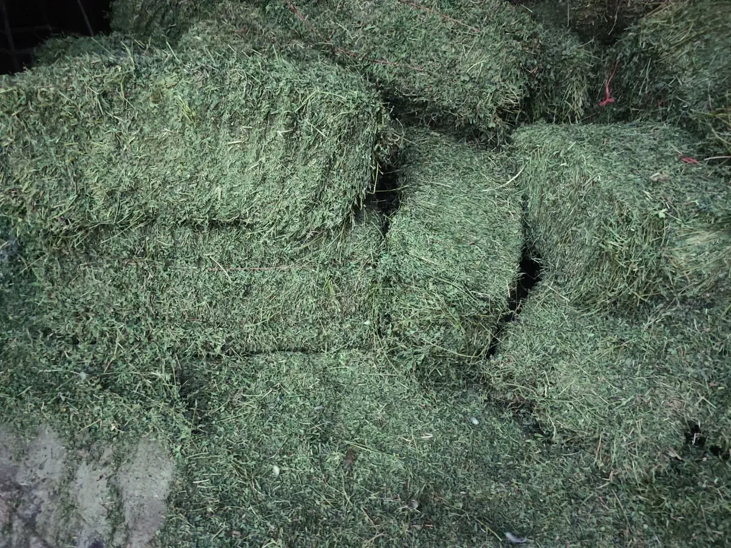 فروش یونجه|لوازم جانبی حیوانات|قیدار, |دیوار