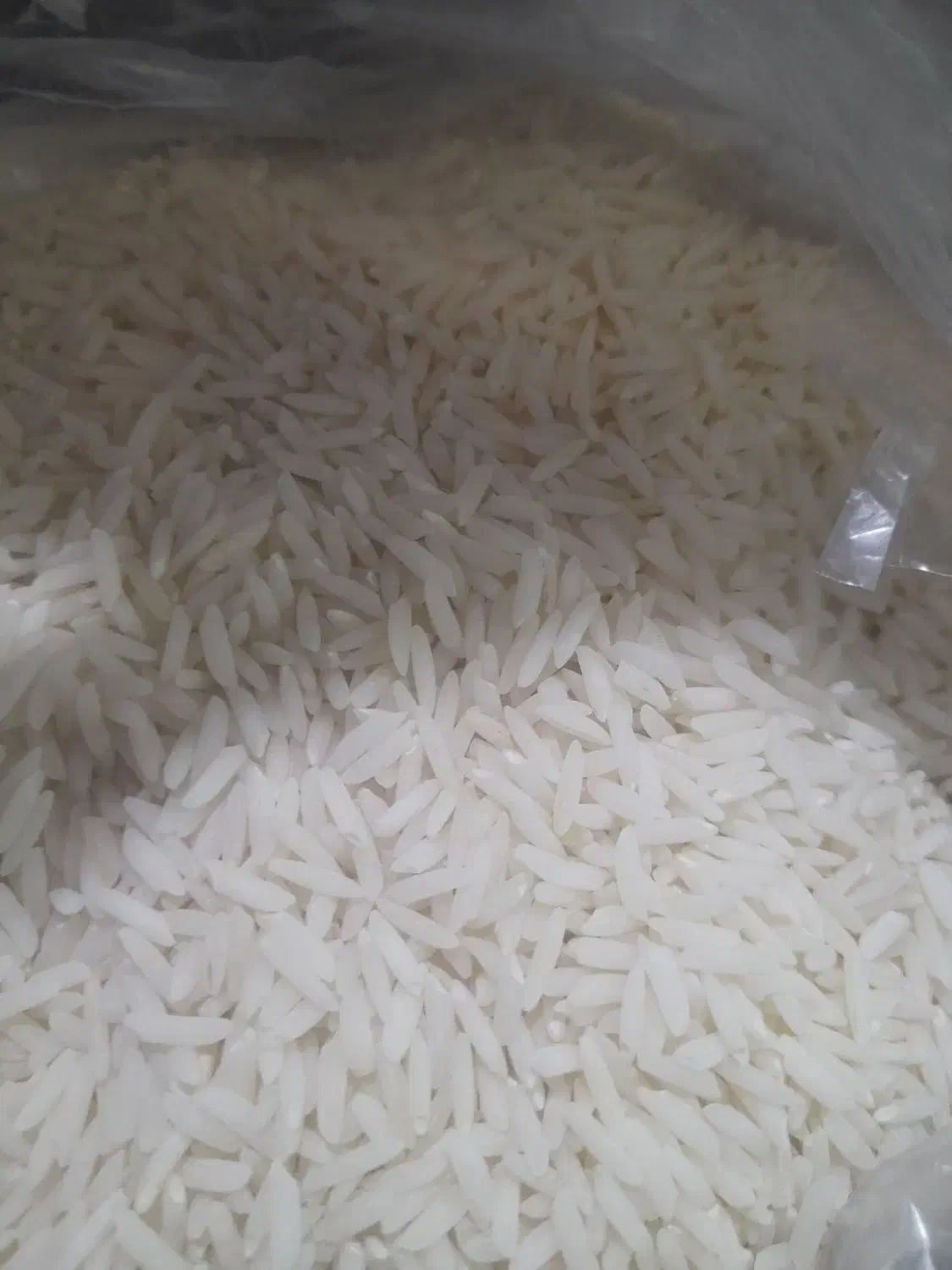 برنج هاشمی درجه ۱|خوردنی و آشامیدنی|رضوانشهر, |دیوار