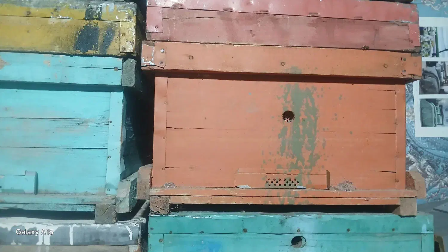 کندو خالی در حد|لوازم جانبی حیوانات|صحنه, |دیوار