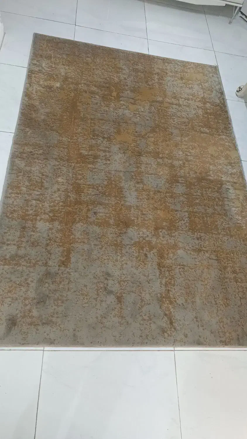 فرش|فرش|فردیس, داوری|دیوار