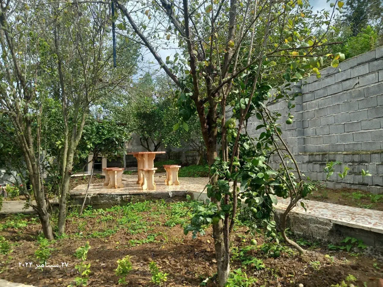 فروش باغ ویلای 600 متری در لفور شیرگاه|فروش خانه و ویلا|شیرگاه, |دیوار