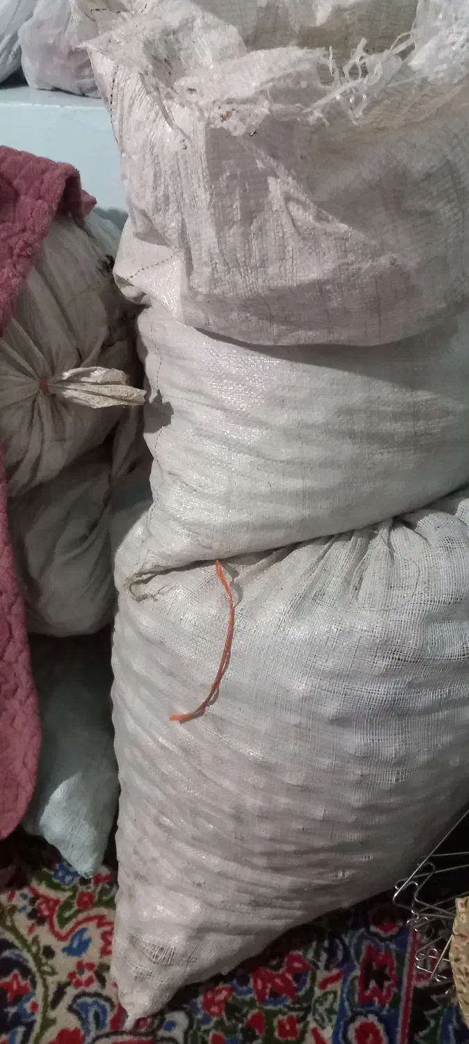 گردو محلی منطقه فیروزکوه زرین دشت|خوردنی و آشامیدنی|فیروزکوه, |دیوار