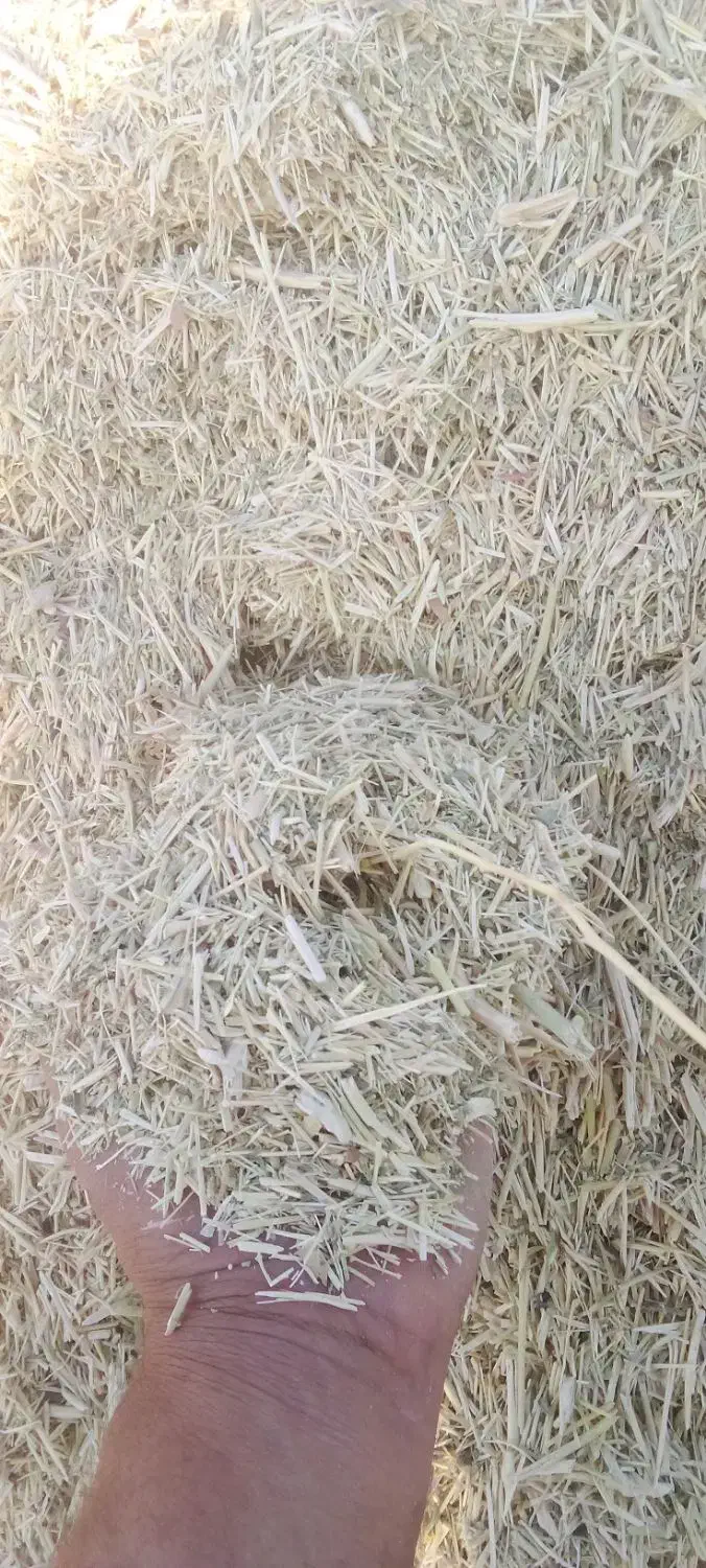 خار وشوره وسلمه قاطی|خدمات باغبانی و درختکاری|عطاملک, |دیوار