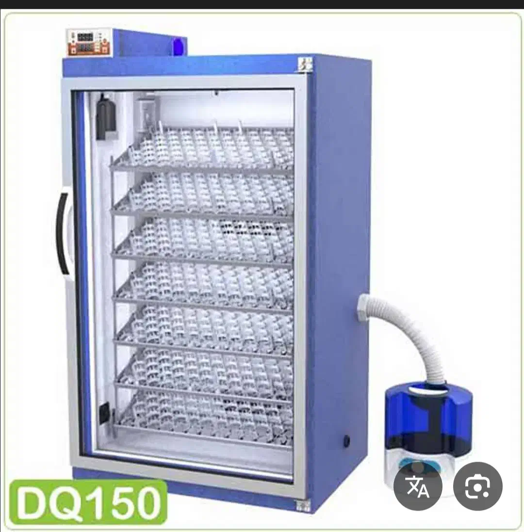 سوسنگرد|لوازم جانبی حیوانات|سوسنگرد, |دیوار