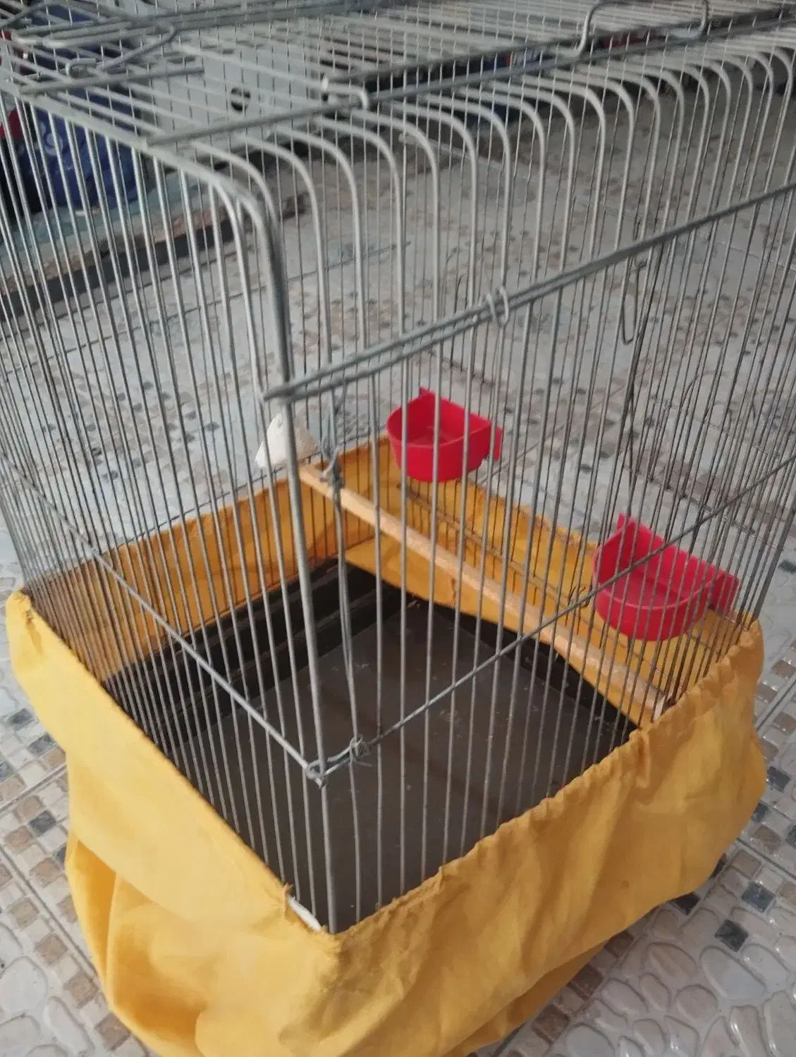 قفس پرنده و دوچرخه تیتانیوم|دوچرخه، اسکیت، اسکوتر|بندر کنگان, |دیوار