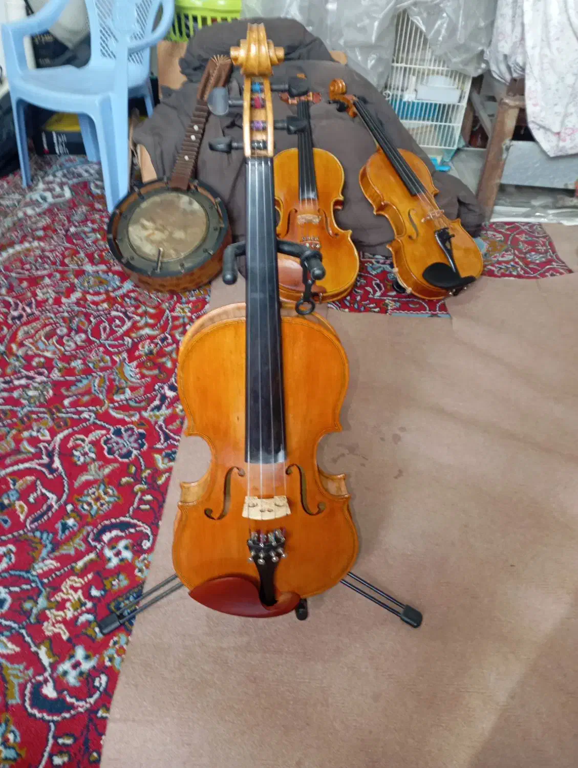 ویلن بازسازی شده|ویولن|ارومیه, |دیوار