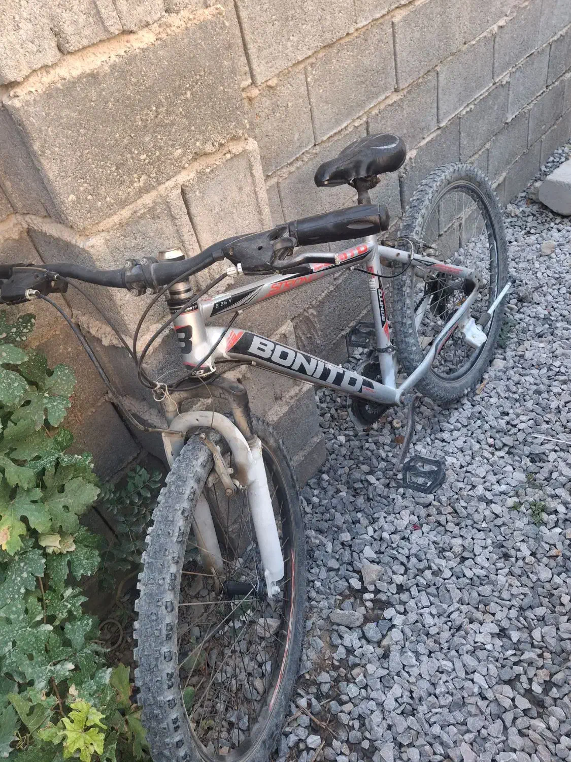 دوچرخه تمیزو مرتب|دوچرخه، اسکیت، اسکوتر|درودزن, |دیوار