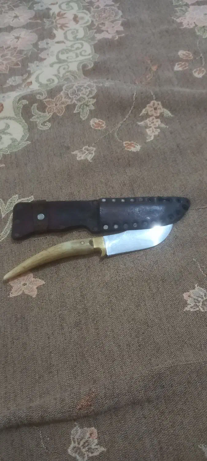 چاقو خوش دست|کوهنوردی و کمپینگ|آزادشهر, |دیوار