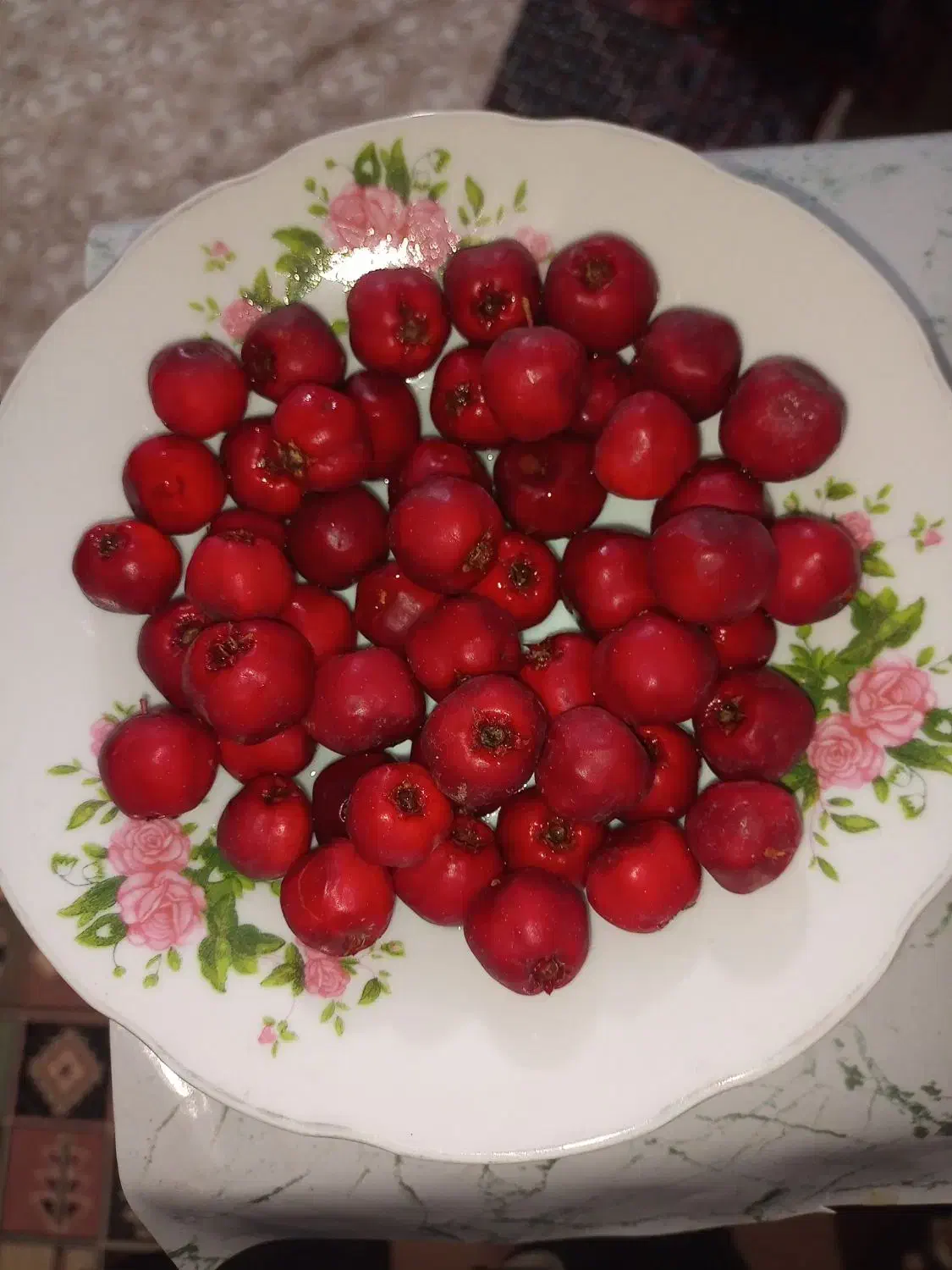 زالزالک یا گویژ بلچ قرمز|خوردنی و آشامیدنی|کلاترزان, |دیوار