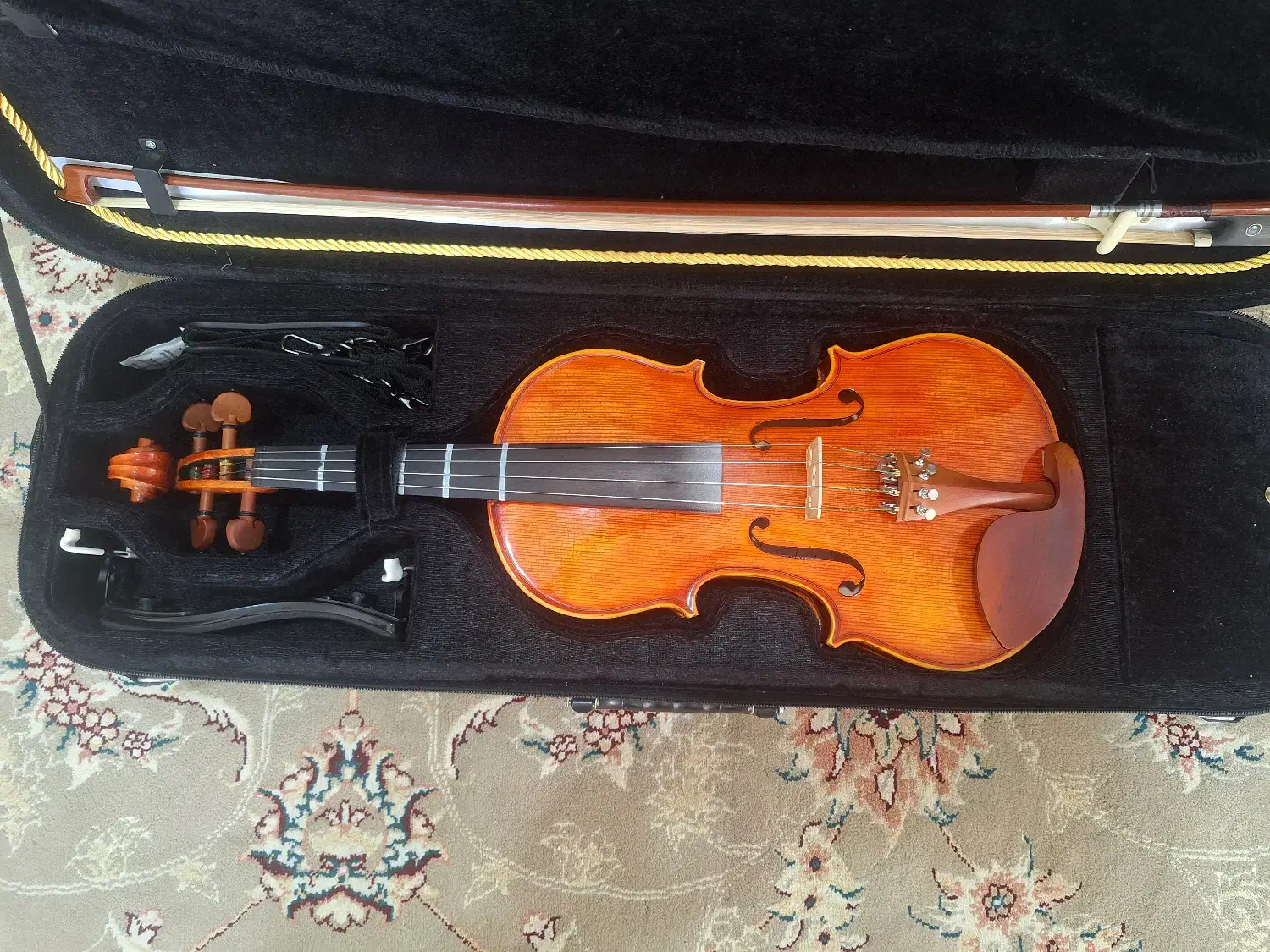 ویولن آندریاس ایست|ویولن|بندر گز, |دیوار