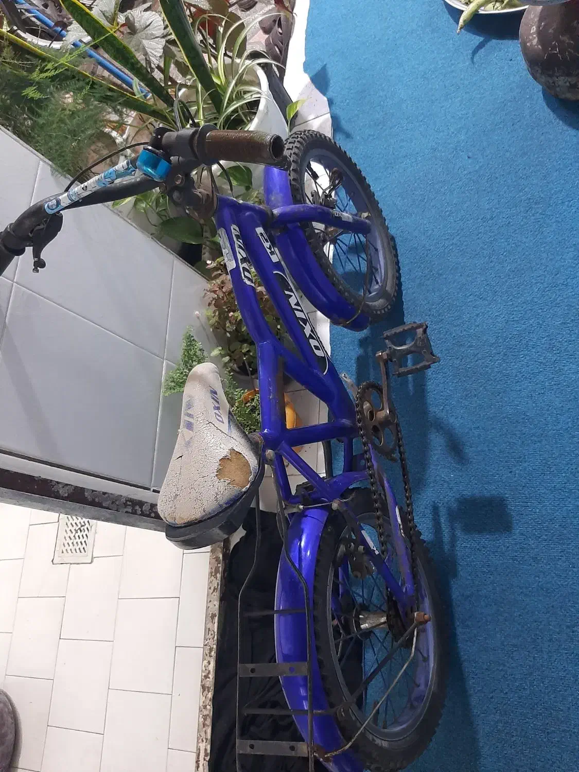 دوچرخه|دوچرخه، اسکیت، اسکوتر|رشت, فلسطین|دیوار