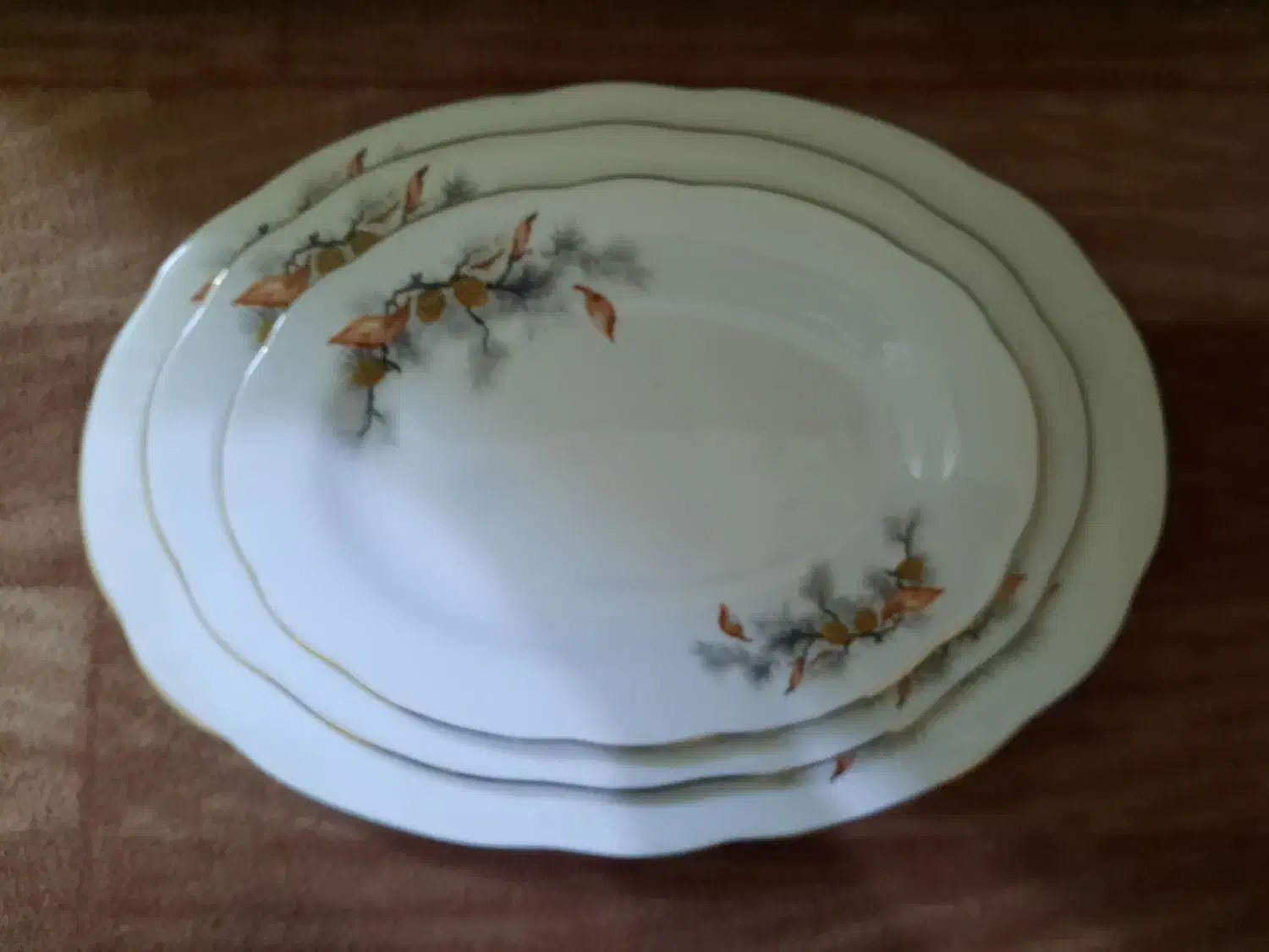 دیس چینی و کاسه چینی و میوه خوری|ظروف سرو و پذیرایی|اهواز, کوی سعدی|دیوار