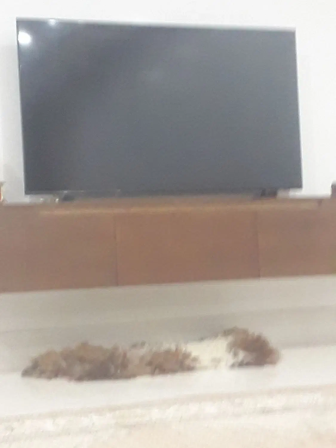 کسی گروه دارع|فعالیت داوطلبانه|بیرجند, |دیوار