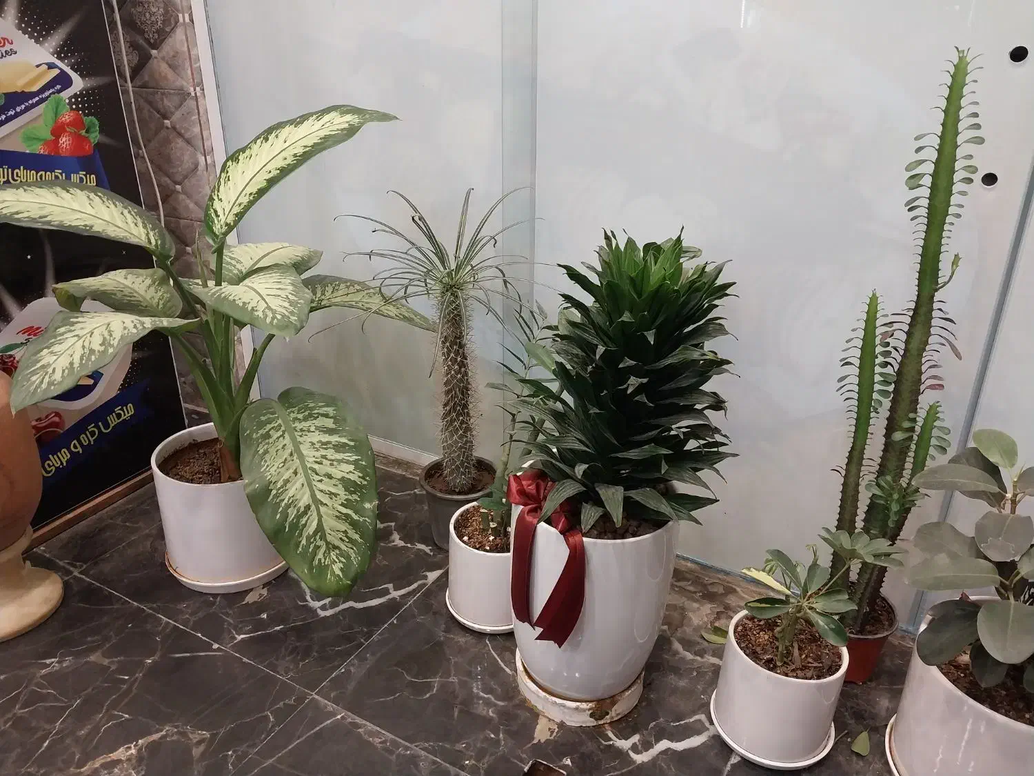 تمیزکاری ساختمان|خدمات نظافت|جهرم, |دیوار