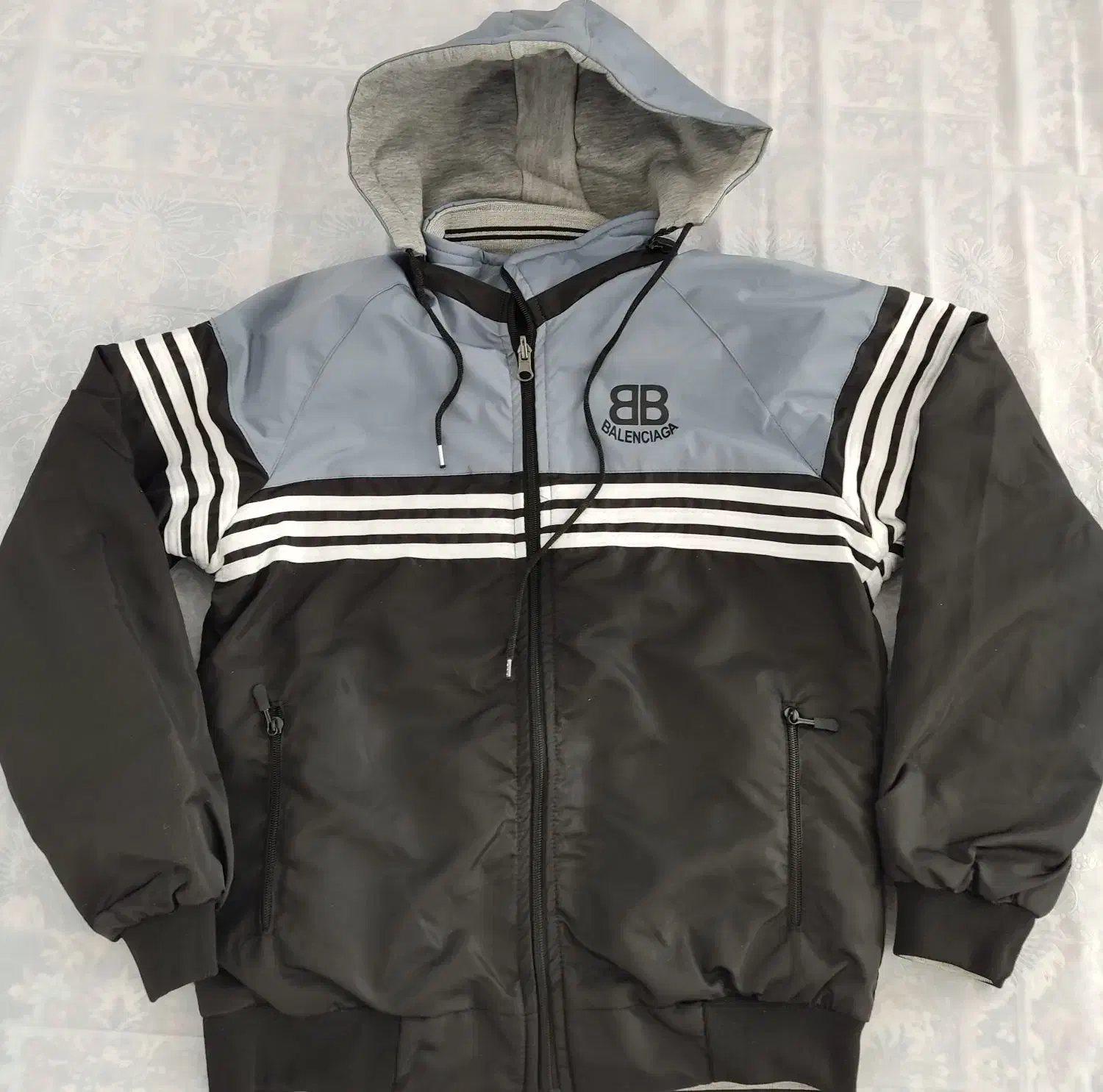 کبوتر|پرنده|سرپل ذهاب, |دیوار