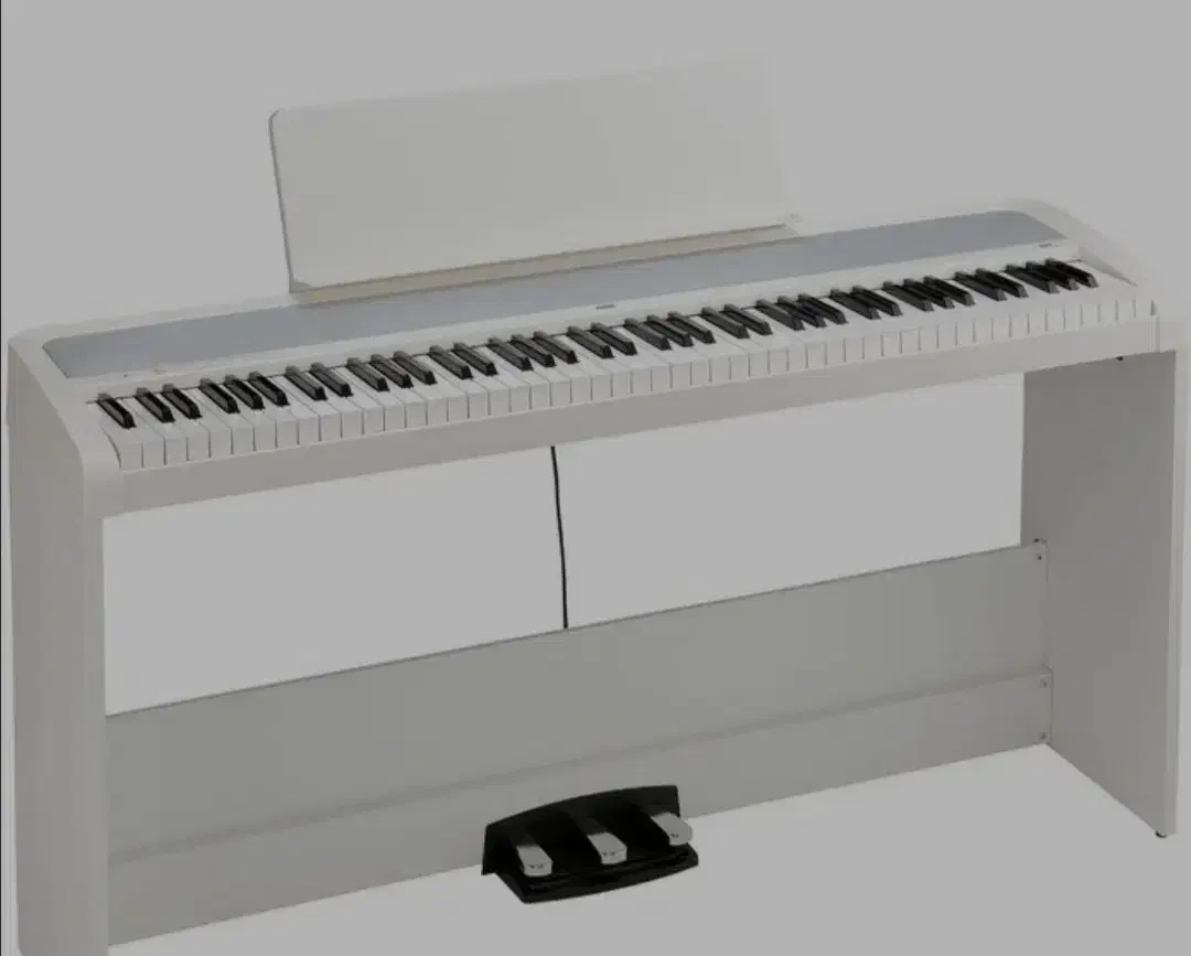 KORG B2|پیانو، کیبورد، آکاردئون|قزوین, |دیوار