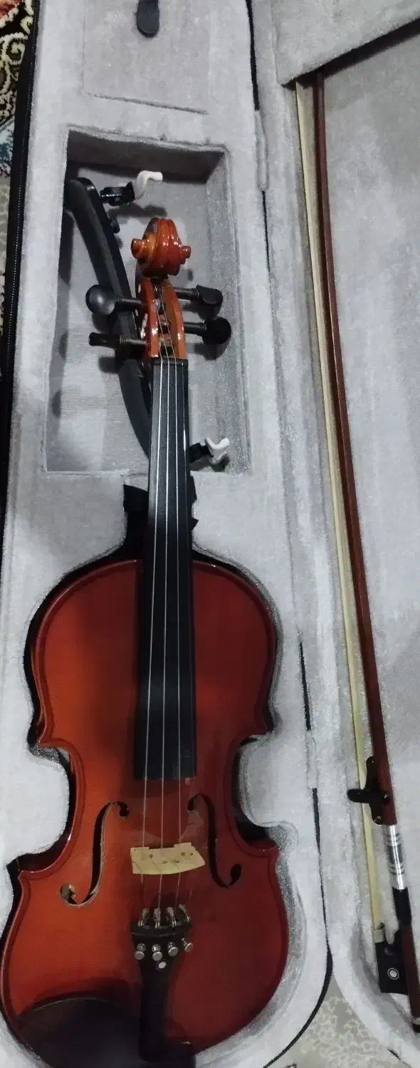 موسیقی|ویولن|الوند, |دیوار