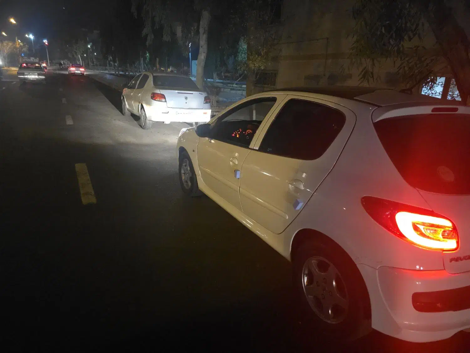 ۲۰۷ پانا فرمان برقی۱۴۰۱|خودرو سواری و وانت|تهران, مشیریه|دیوار