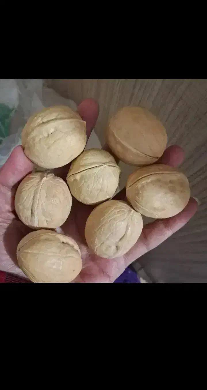 گردو خارجی 63 درصد مغز عمده|خوردنی و آشامیدنی|کوهدشت, |دیوار