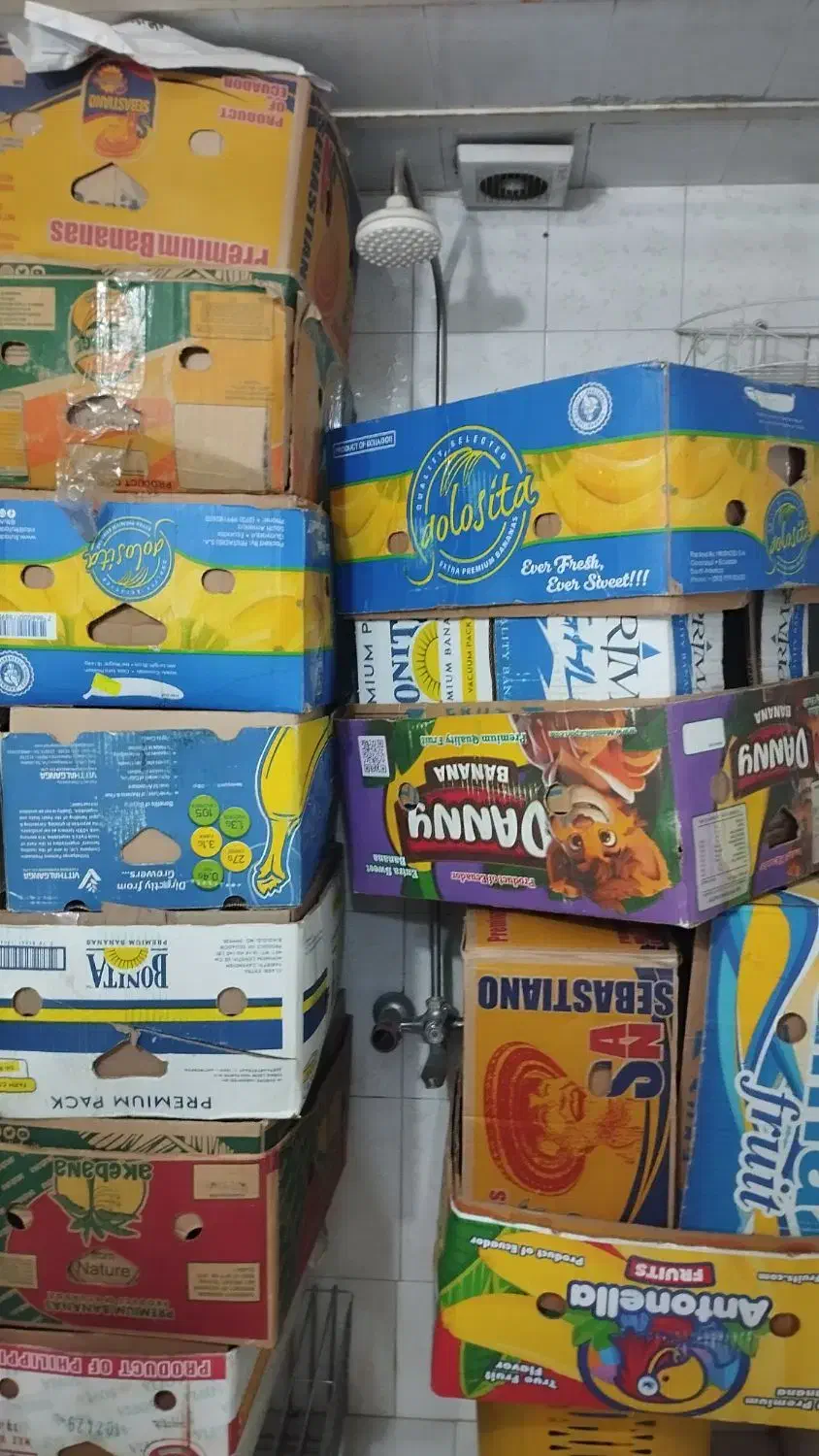 کارتن موزی|حراج|بومهن, |دیوار