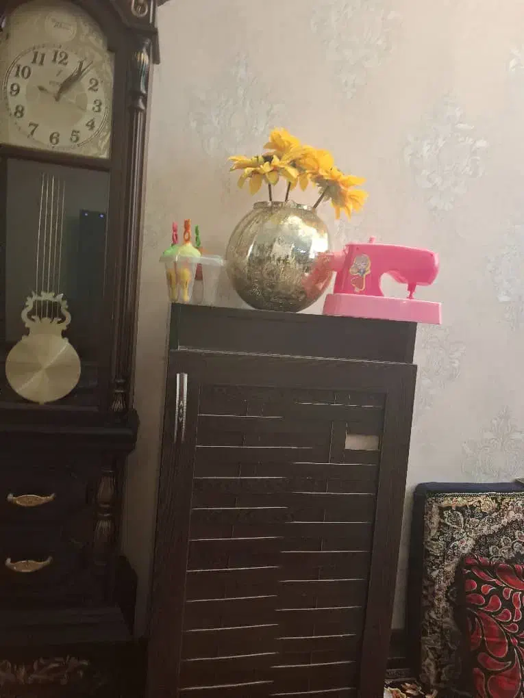 جاکفشی|جاکفشی، کمد، دراور|شیراز, گلستان|دیوار