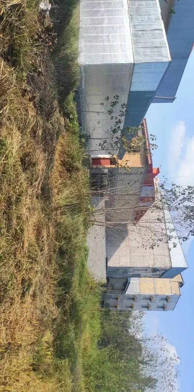 زمین مسکونی بلوار امام علی|فروش زمین و ملک کلنگی|رشت, آب آسیاب|دیوار