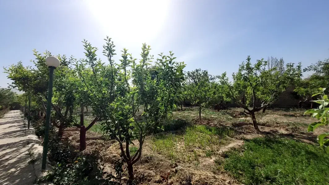 ۱۰۰۰متر باغ در آبسرد پزشکان (خ خلیج فارس)|فروش زمین و ملک کلنگی|آبسرد, |دیوار