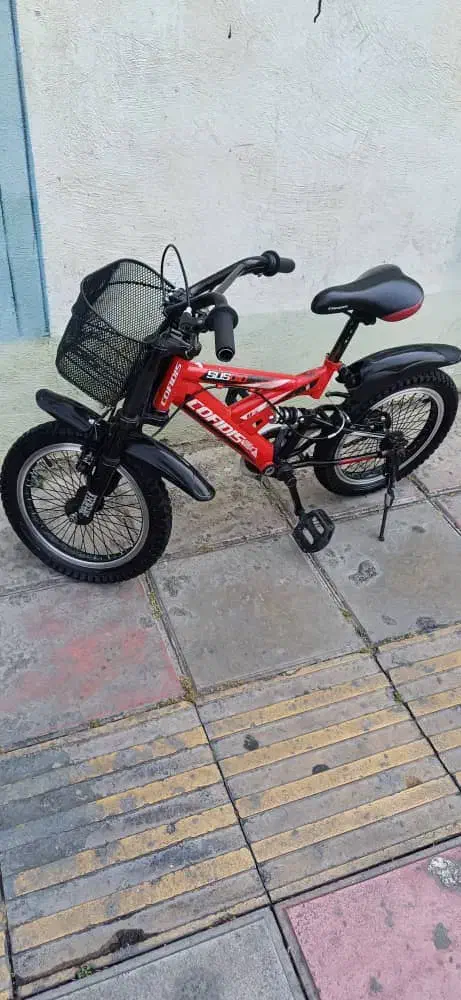 دوچرخه ۱۶ کافیدیس پسرانه همراه کمکی|دوچرخه، اسکیت، اسکوتر|اسلامشهر, شهرک انبیا|دیوار