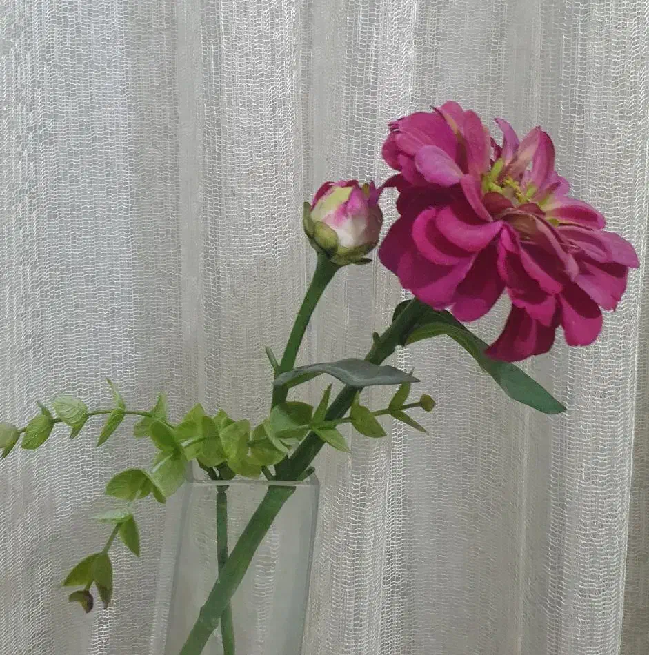 گل مصنوعی|گل مصنوعی|گرگان, |دیوار