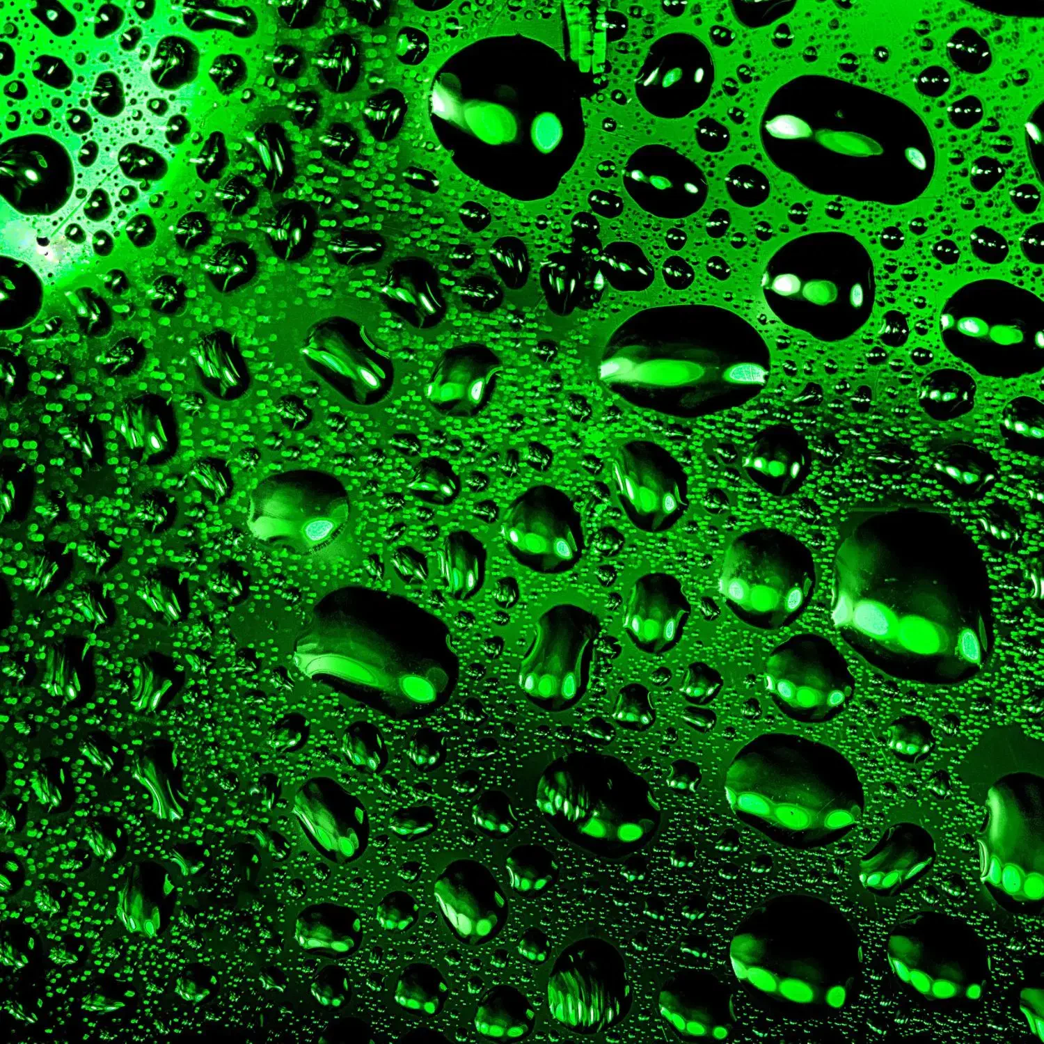 شماره ۰۹۱۹اعتباری دائمی شده ب فروش میرسه|سیمکارت|سرپل ذهاب, |دیوار