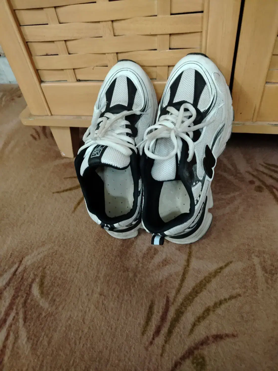 کفش مجلسی|کیف، کفش، کمربند|بوشهر, |دیوار