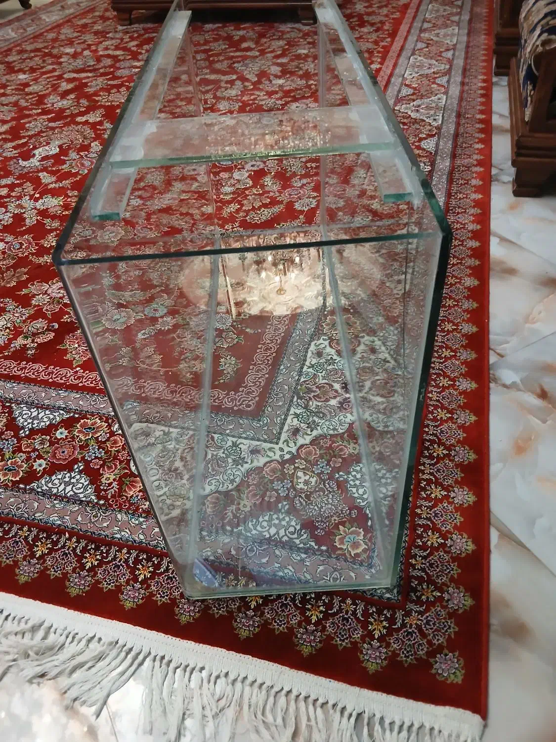 اکواریوم|ماهی|پردیس, فاز ۲|دیوار
