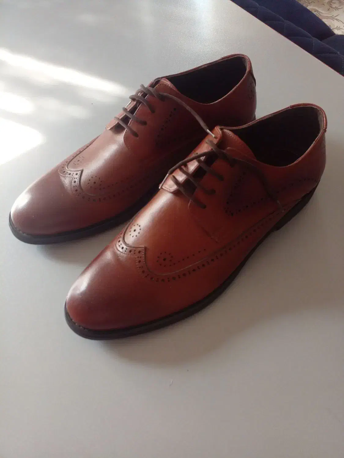 کفش تمام چرم|کیف، کفش، کمربند|محمدشهر, همایون ویلا|دیوار