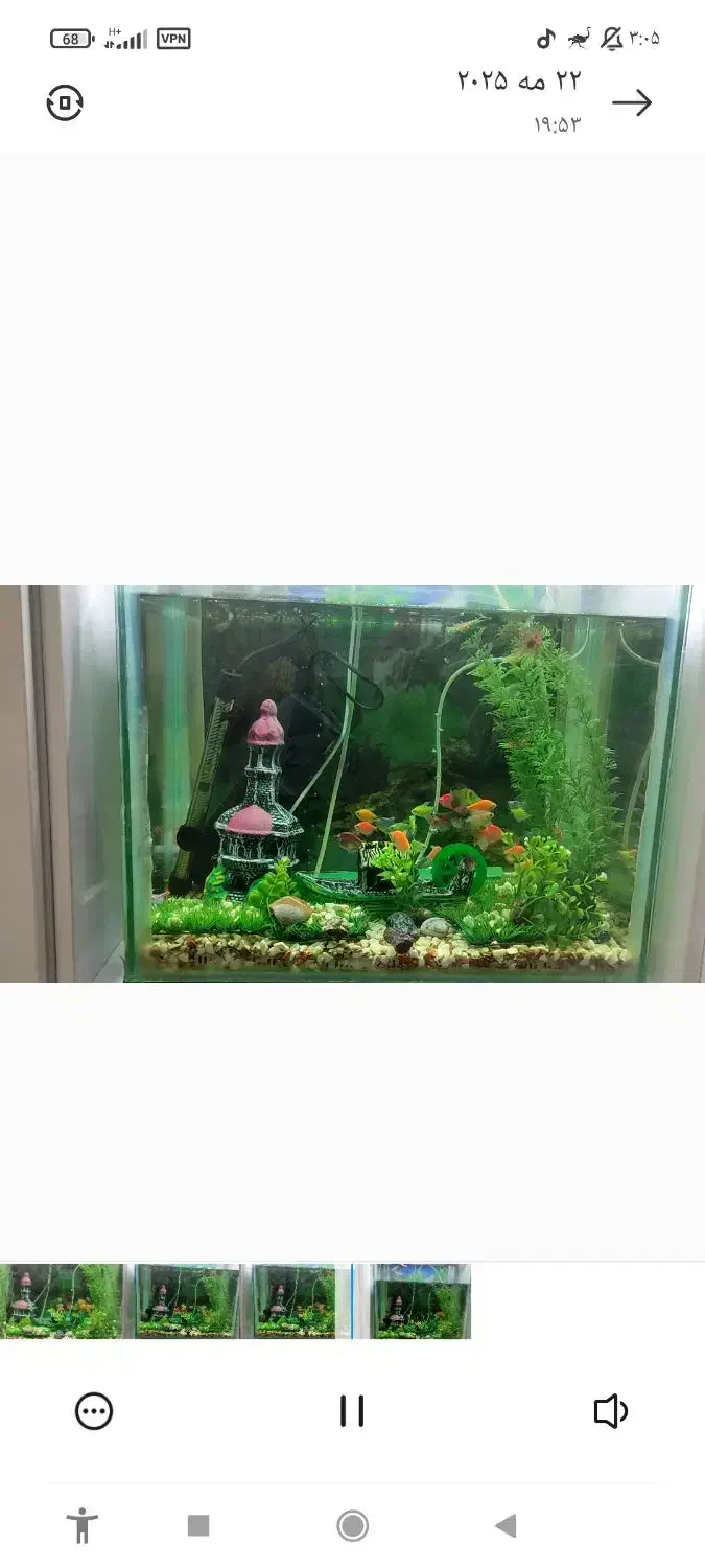 آکواریوم سالم / و دو عدد قفس سالم|ماهی|فومن, |دیوار