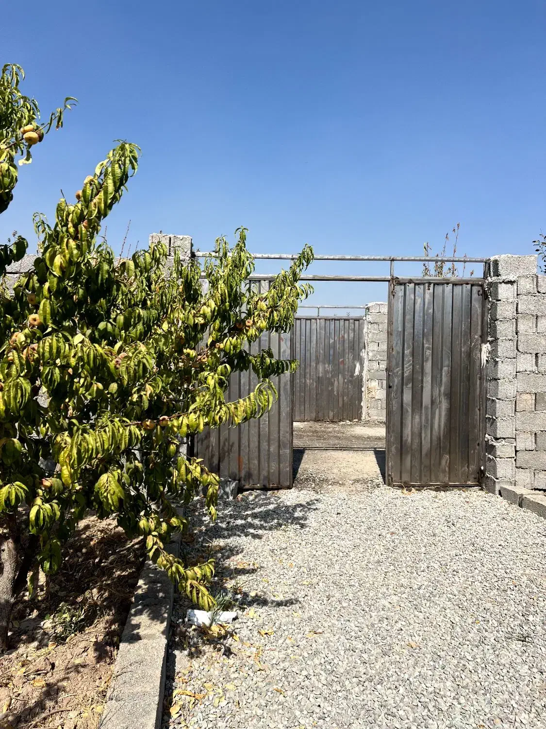 باغ سرسبز و بِکر/۳۱۹ متر،محصور شده|فروش زمین و ملک کلنگی|اسلام‌شهر, شهرک محمدیه|دیوار